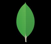 MongoDB Avancé