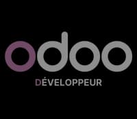 Odoo Développeur